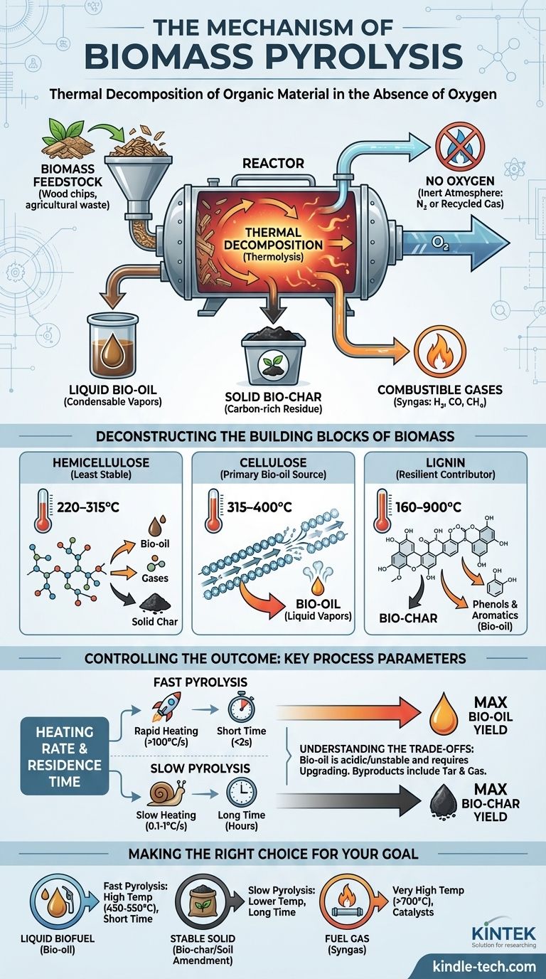 Каков механизм пиролиза биомассы? Руководство по преобразованию биомассы в биомасло, биоуголь и газ Визуальное руководство
