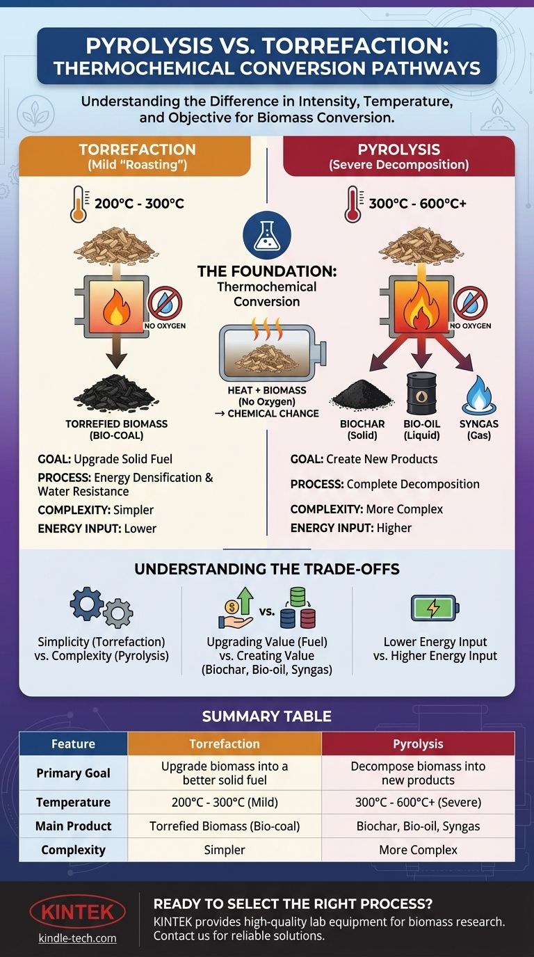 열분해와 토리팩션의 차이점은 무엇인가요? 올바른 바이오매스 전환 공정 선택하기 시각적 가이드