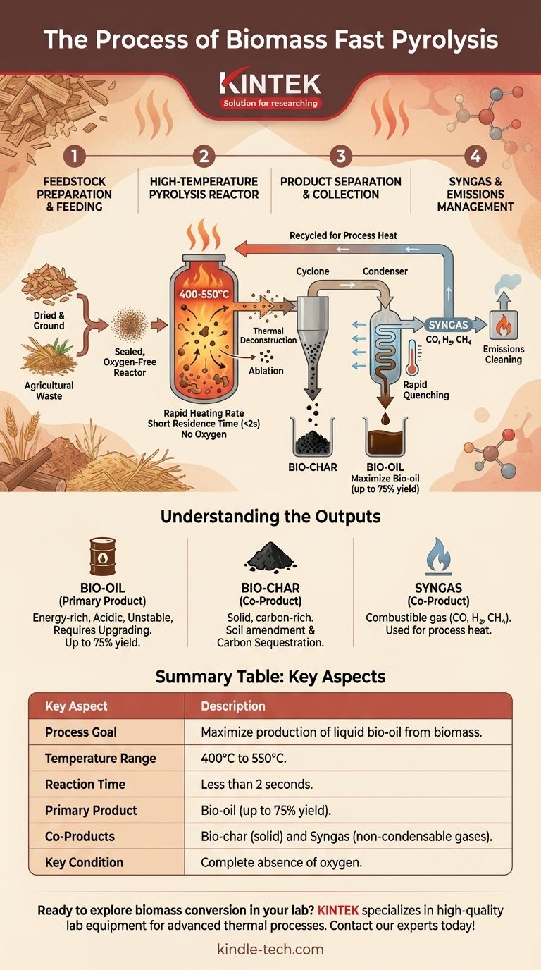 Qual è il processo di pirolisi rapida della biomassa? Trasformare la biomassa in bio-olio in pochi secondi Guida Visiva
