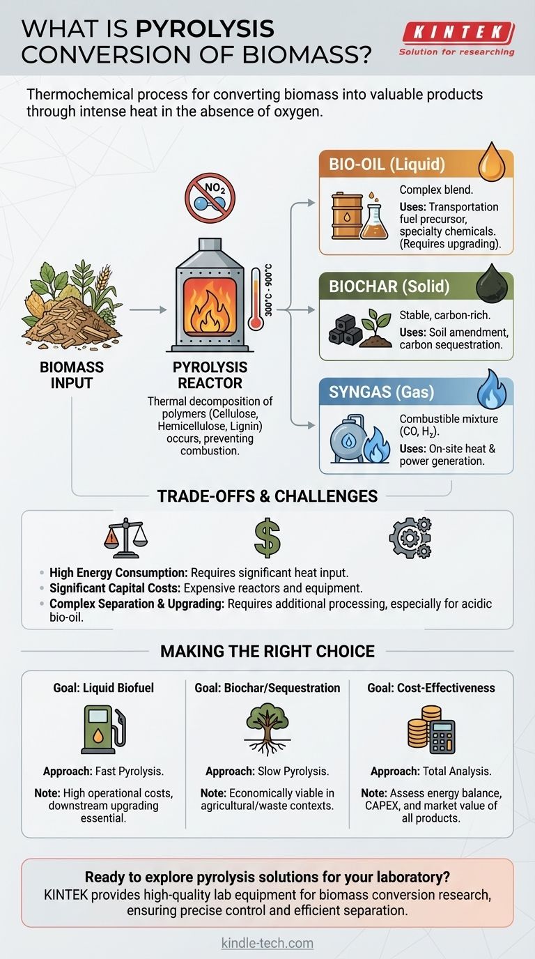 Was ist die Pyrolyse-Umwandlung von Biomasse? Entdecken Sie das Potenzial der Waste-to-Energy-Technologie Visuelle Anleitung