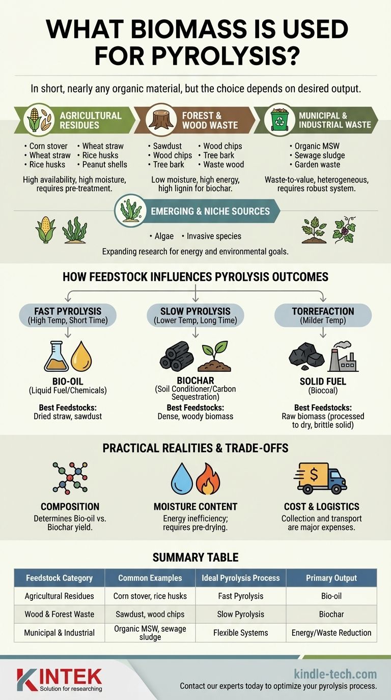 ¿Qué biomasa se utiliza para la pirólisis? Alinee la materia prima con su proceso para obtener bioaceite, biocarbón o combustible óptimos Guía Visual