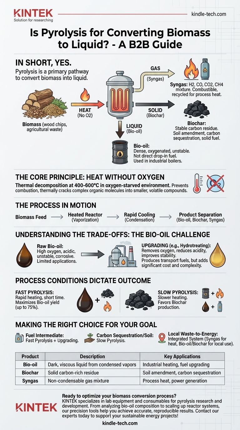 Пиролиз для преобразования биомассы в более полезную жидкость? Откройте для себя био-масло, биоуголь и синтез-газ Визуальное руководство