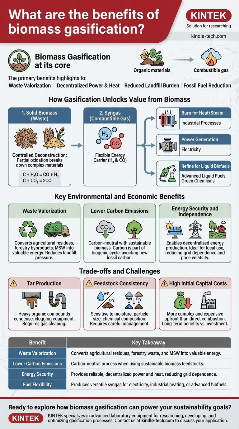 Quais são os benefícios da gaseificação de biomassa? Transforme Resíduos em Energia Limpa e Renovável Guia Visual