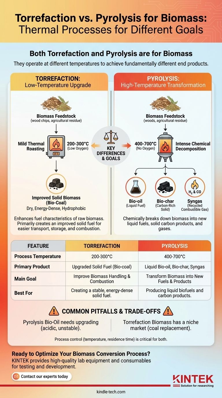 Torrefizierung oder Pyrolyse für Biomasse? Wählen Sie den richtigen thermischen Prozess für Ihre Biomasseziele Visuelle Anleitung