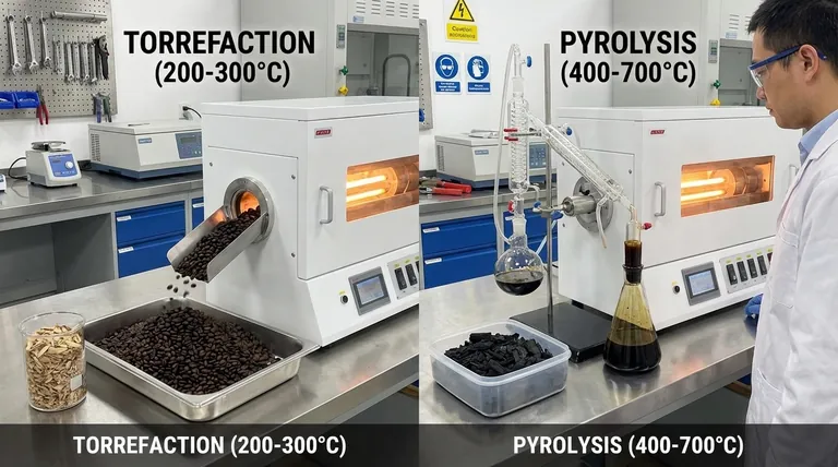 Torréfaction ou pyrolyse pour la biomasse ? Choisissez le bon procédé thermique pour vos objectifs en matière de biomasse