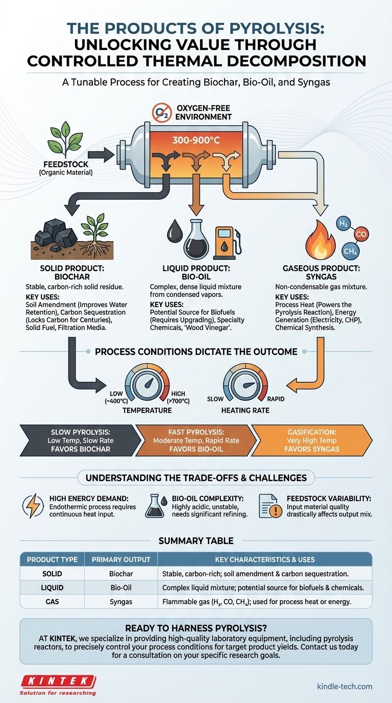 Quali sono i prodotti della pirolisi? Una guida al biochar, al bio-olio e al syngas Guida Visiva