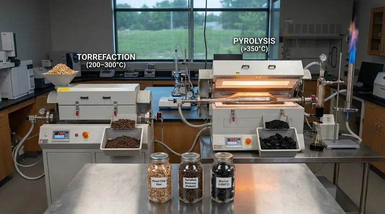 生物质热解与热解炭有何区别？生物质热转化指南