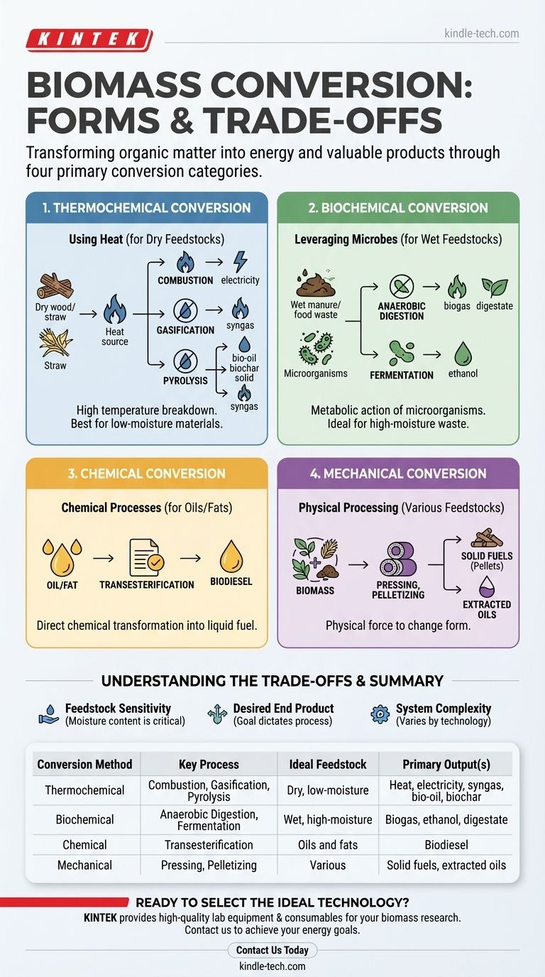 Quelles sont les différentes formes de conversion de la biomasse ? Choisissez le bon processus pour votre matière première et votre objectif Guide Visuel