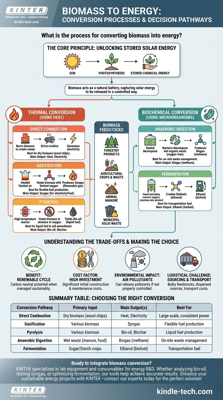 Was ist der Prozess der Umwandlung von Biomasse in Energie? Erschließen Sie erneuerbare Energie aus organischer Materie Visuelle Anleitung
