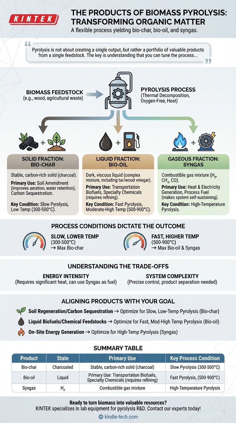 Quels sont les produits de la pyrolyse de la biomasse ? Débloquez le biochar, la bio-huile et le gaz de synthèse Guide Visuel