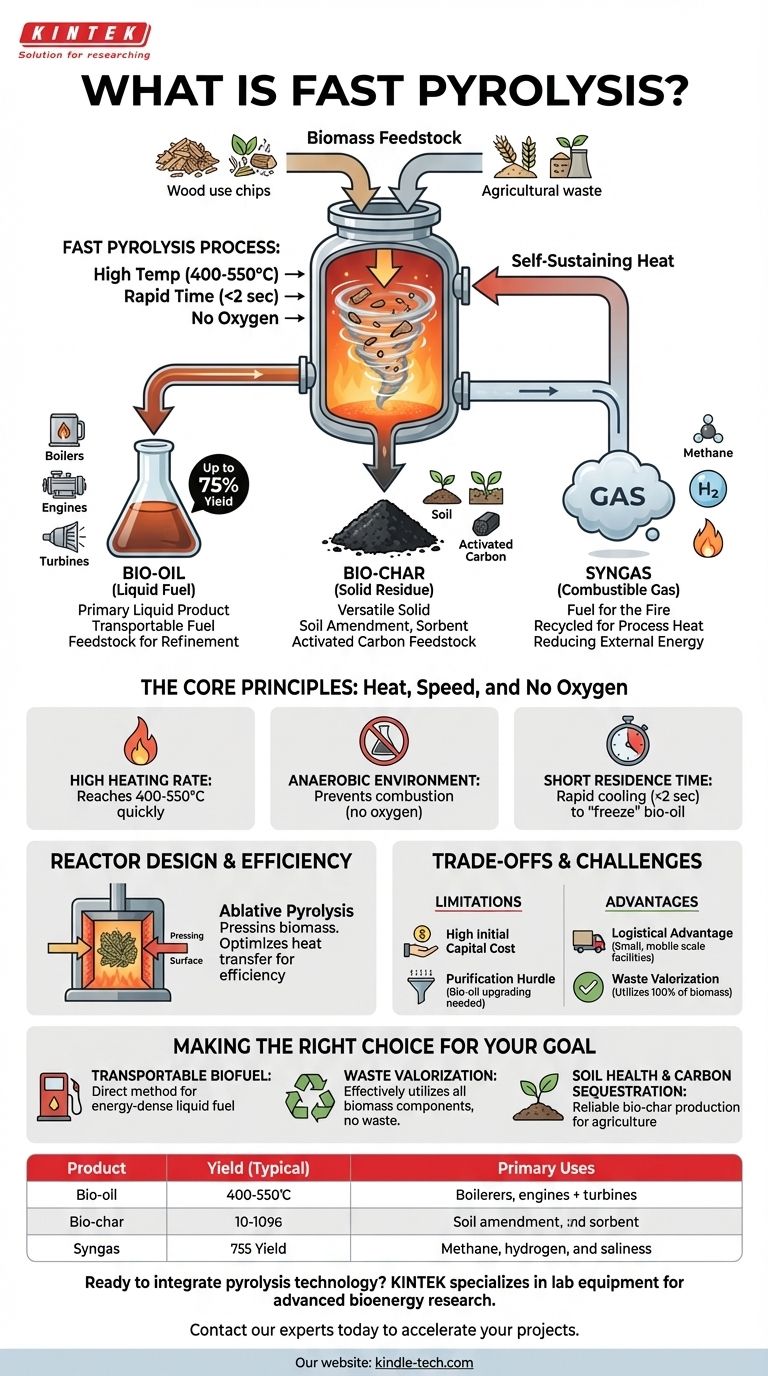 ¿Qué es la pirólisis rápida? Desbloquee el potencial de la biomasa para biocombustibles y biocarbón Guía Visual
