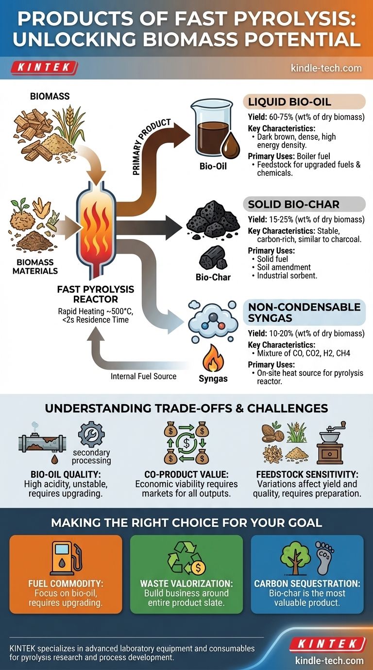 고속 열분해의 산물은 무엇인가요? 바이오 오일, 바이오 숯, 합성 가스에 대한 설명 시각적 가이드
