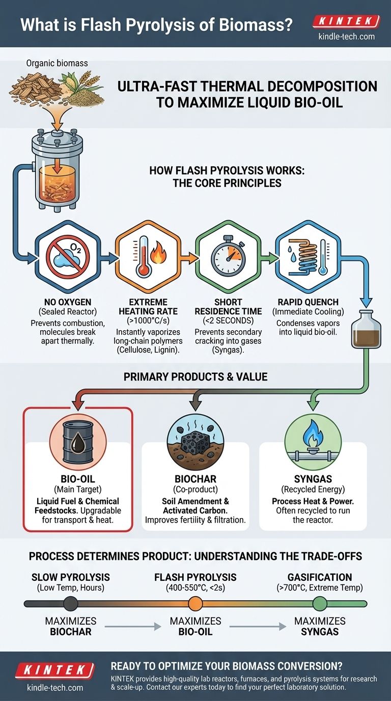 什么是生物质快热解？最大化生物燃料和化学品的生物油产率 图解指南