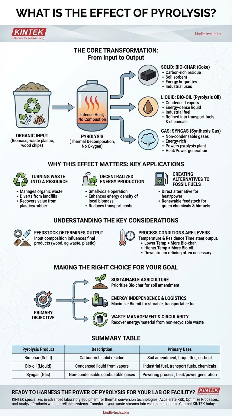 What is the effect of pyrolysis? Converting Waste into Fuel, Chemicals, and Energy Visual Guide
