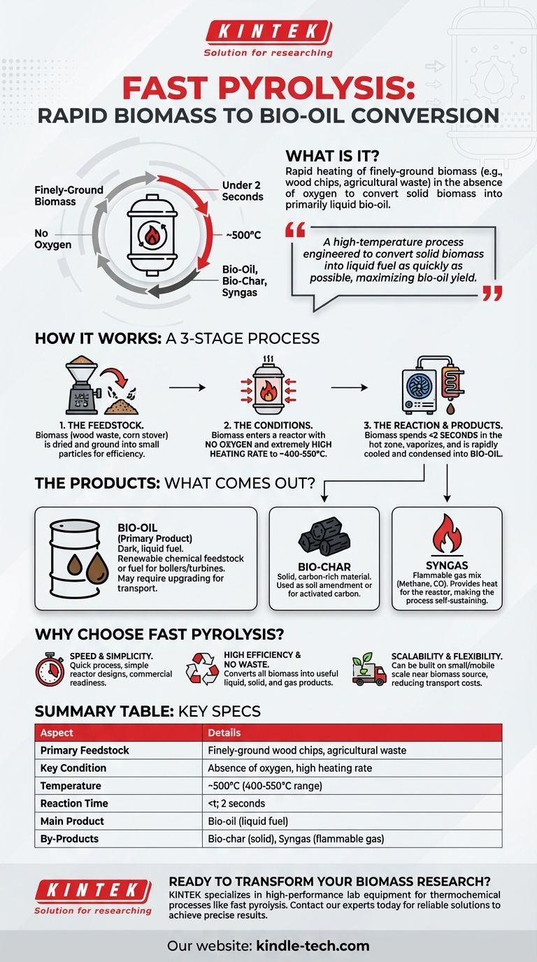 Was ist ein Beispiel für schnelle Pyrolyse? Biomasse in unter 2 Sekunden in Bio-Öl umwandeln Visuelle Anleitung