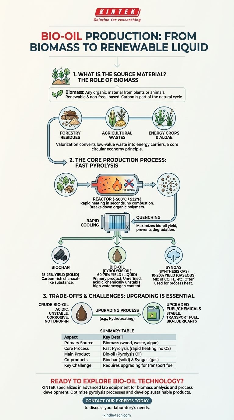 生物油主要由什么产生？通过快速热解将生物质转化为可再生燃料 图解指南