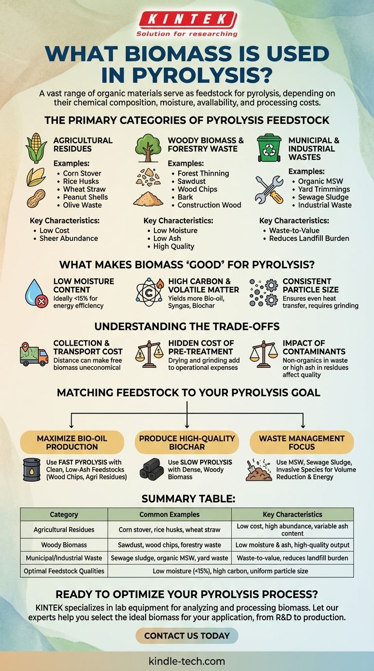 What biomass is used in pyrolysis? Selecting the Optimal Feedstock for Your Goals Visual Guide