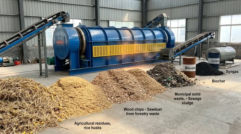 Quelle biomasse est utilisée en pyrolyse ? Sélectionner la matière première optimale pour vos objectifs