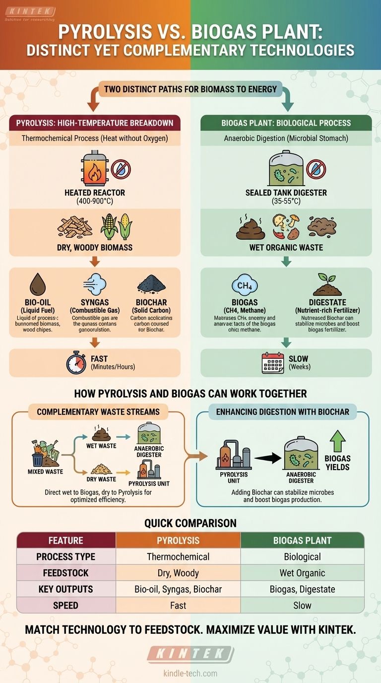 Was ist der Nutzen der Pyrolyse in einer Biogasanlage? Zwei unterschiedliche Technologien zur Biomasseumwandlung Visuelle Anleitung