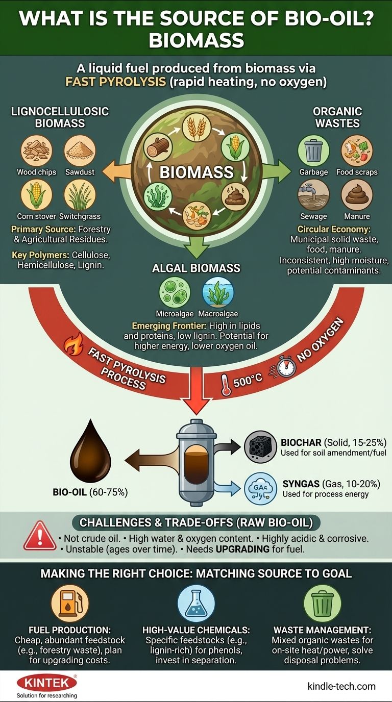 Каков источник биомасла? Откройте для себя возобновляемую энергию из биомассы Визуальное руководство