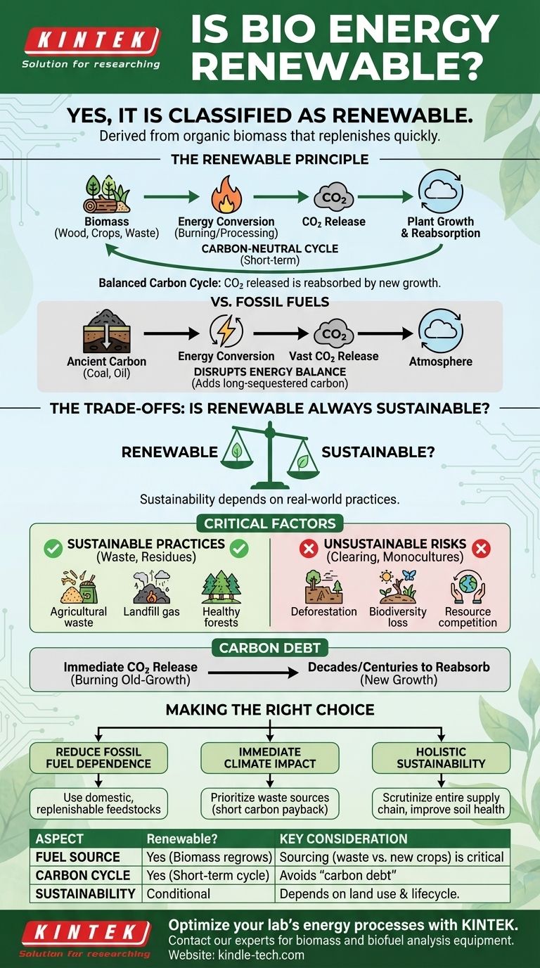 Является ли биоэнергия возобновляемой? Разбираемся в устойчивости биомассовой энергетики Визуальное руководство