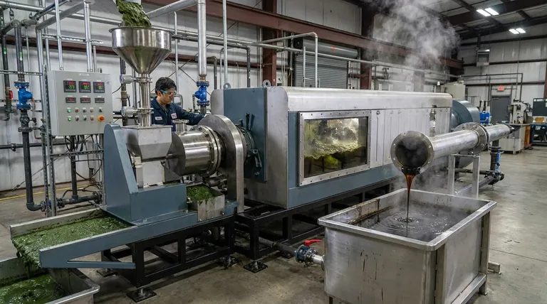 Cos'è la produzione di bio-olio da biomassa algale? Una guida alla creazione di carburante rinnovabile