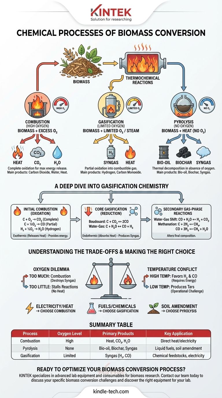 Quali sono i processi chimici di conversione della biomassa? Sblocca l'energia dalla biomassa con reazioni termochimiche Guida Visiva