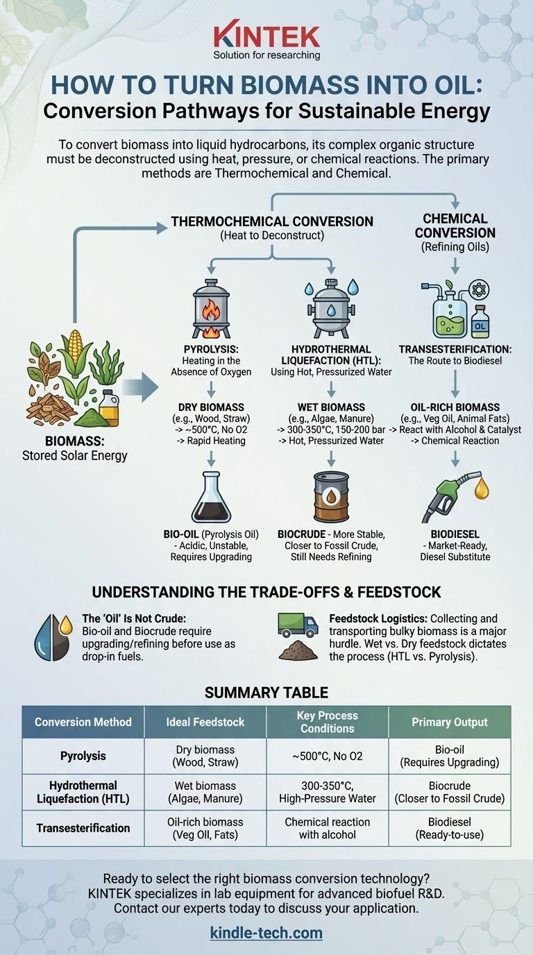 كيف تحول الكتلة الحيوية إلى زيت؟ إتقان طرق التحويل الرئيسية لإنتاج الوقود الحيوي دليل مرئي