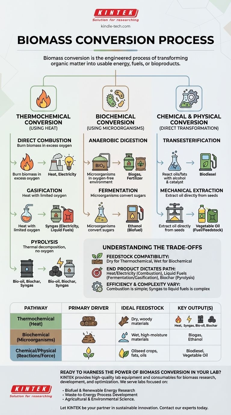 바이오매스 전환 공정은 무엇인가요? 유기성 폐기물을 에너지 및 연료로 전환 시각적 가이드