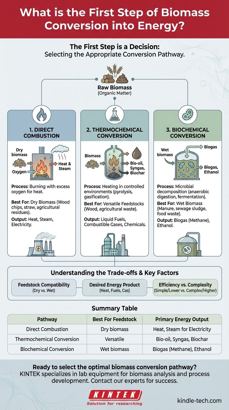 Каков первый шаг преобразования биомассы в энергию? Выберите правильный путь для вашего сырья Визуальное руководство