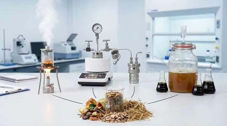 Qual è il primo passo della conversione della biomassa in energia? Scegli il percorso giusto per la tua materia prima