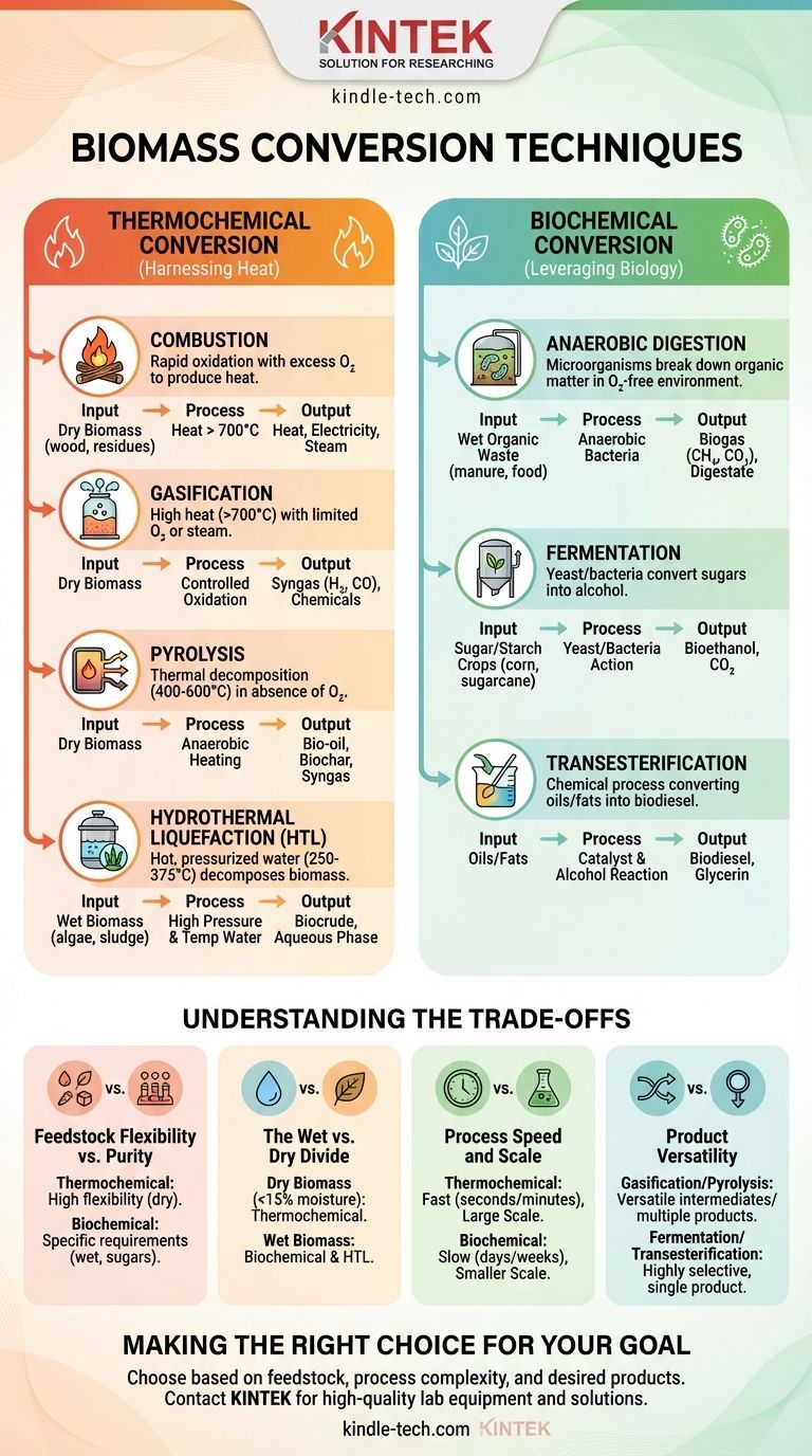 Quais são as diferentes técnicas de conversão de biomassa? Combine Matéria-Prima com Produto Final para Bioenergia Ótima Guia Visual
