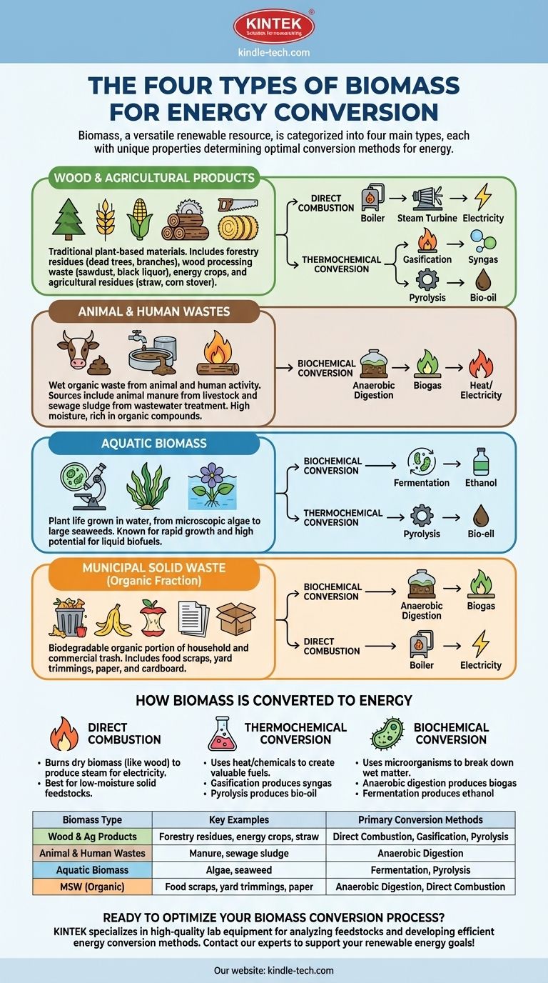 What are the four types of biomass that can be converted? A Guide to Renewable Energy Sources Visual Guide