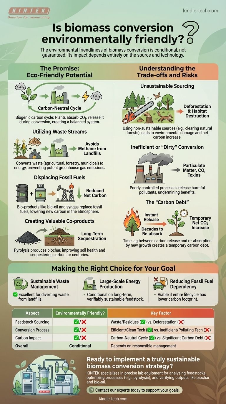 ¿Es la conversión de biomasa respetuosa con el medio ambiente? Depende de su materia prima y tecnología Guía Visual