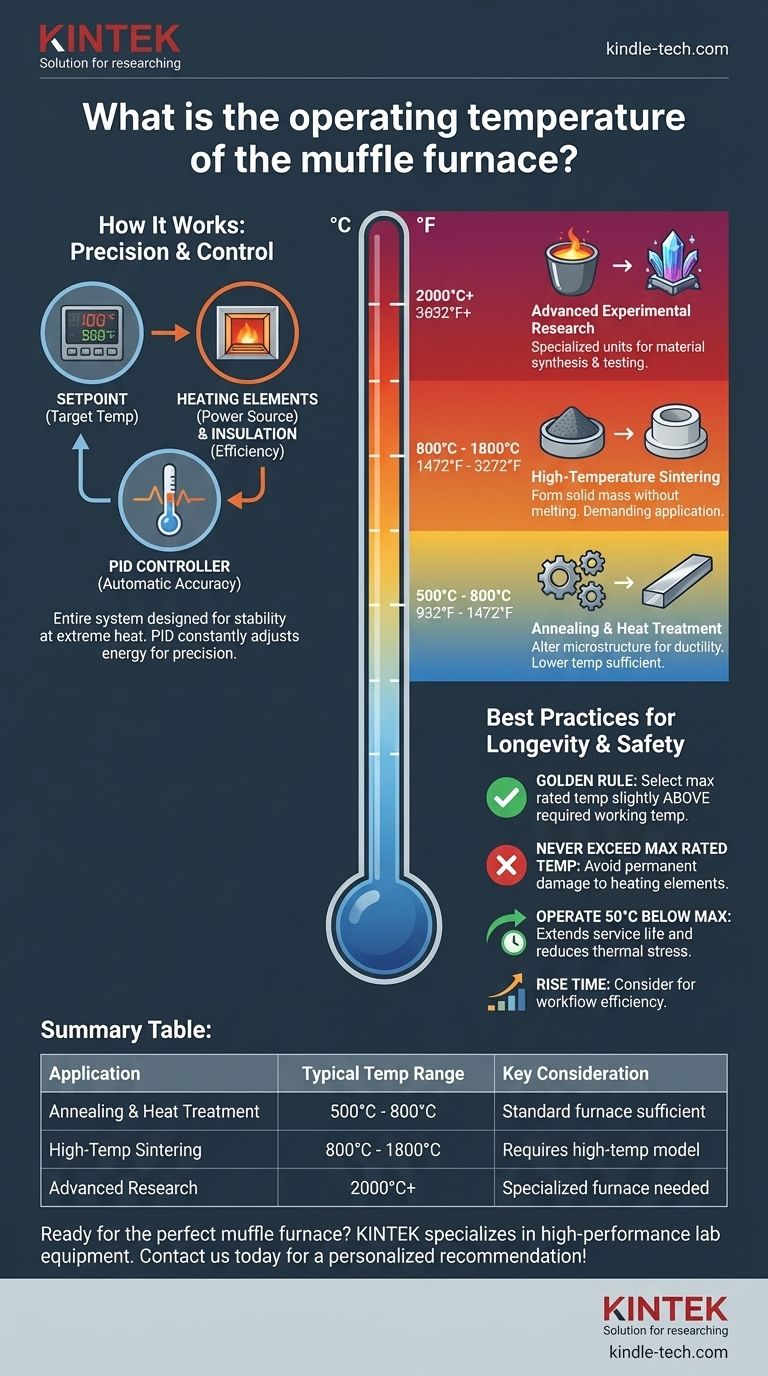 Qual è la temperatura operativa del forno a muffola? Trova il tuo intervallo ideale per il successo in laboratorio Guida Visiva