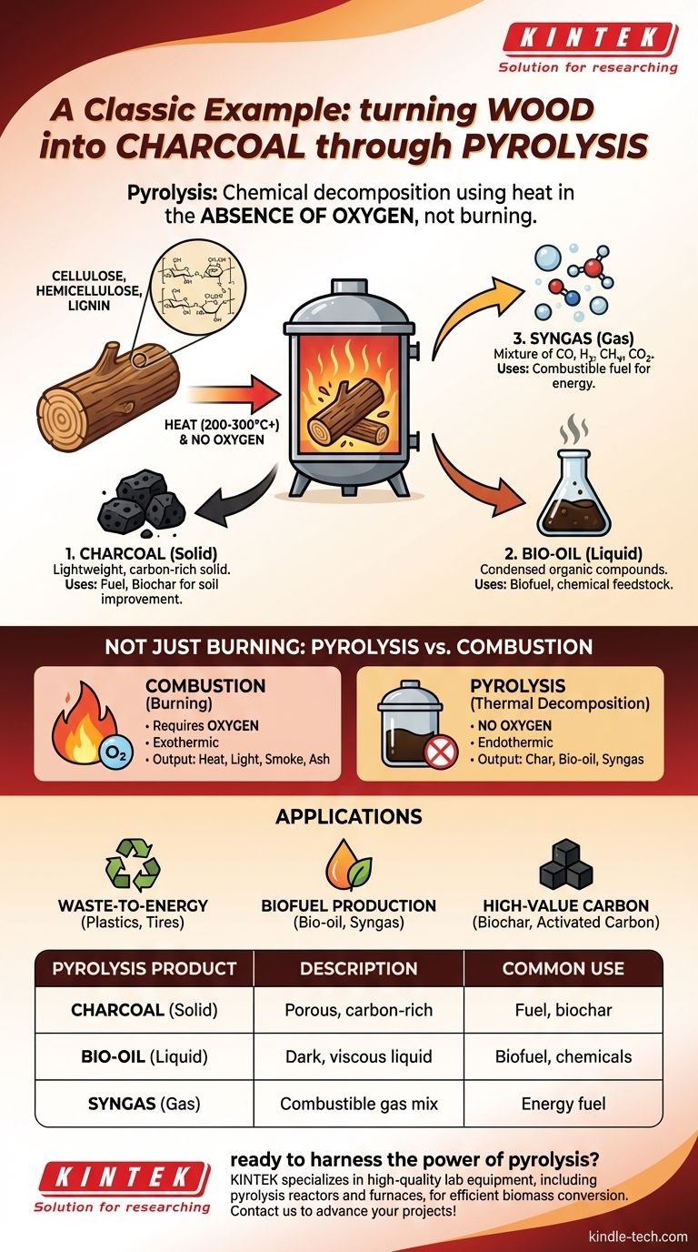 What is an example of a pyrolysis reaction? Unlock the Process of Turning Wood into Charcoal Visual Guide