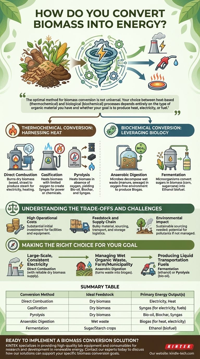 バイオマスをエネルギーに変換する方法とは？熱化学的および生化学的手法に関するガイド ビジュアルガイド