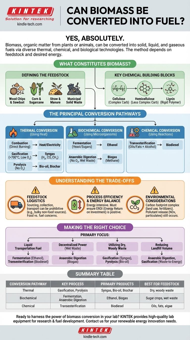 A biomassa pode ser convertida em combustível? Desbloqueie a Energia Renovável da Matéria Orgânica Guia Visual