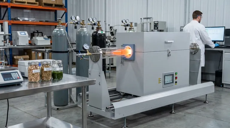 Quali sono le applicazioni della biomassa? Una guida ai suoi versatili usi come energia rinnovabile