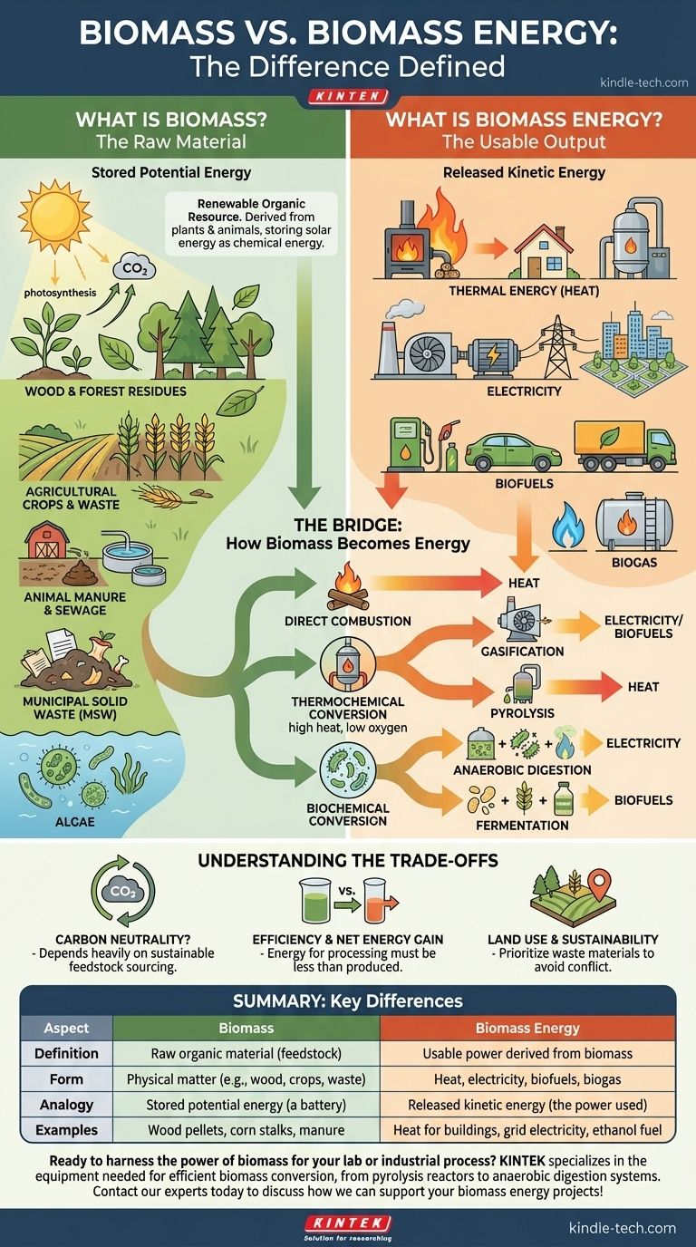 What is the difference between biomass and biomass energy? Unlock the Power of Renewable Resources Visual Guide