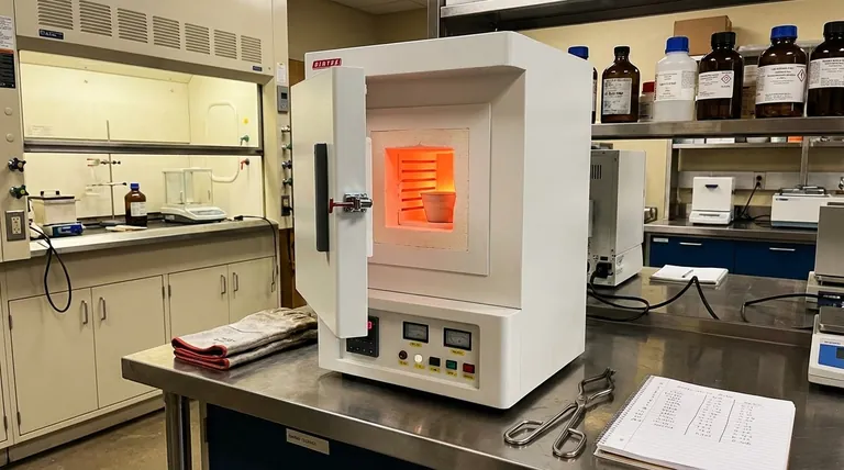 ما هو الفرن المستخدم للتكليس؟ دليل للأفران الصندوقية، والأفران الدوارة، وأفران العمود