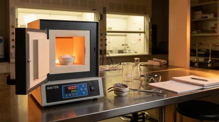 ¿Qué sucede después de la calcinación? Una guía sobre la transformación de materiales y los próximos pasos