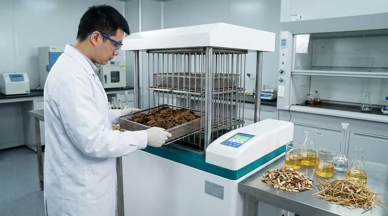 리그노셀룰로스 바이오매스 전처리 공정은 무엇인가요? 식물 물질의 가치를 발견하세요