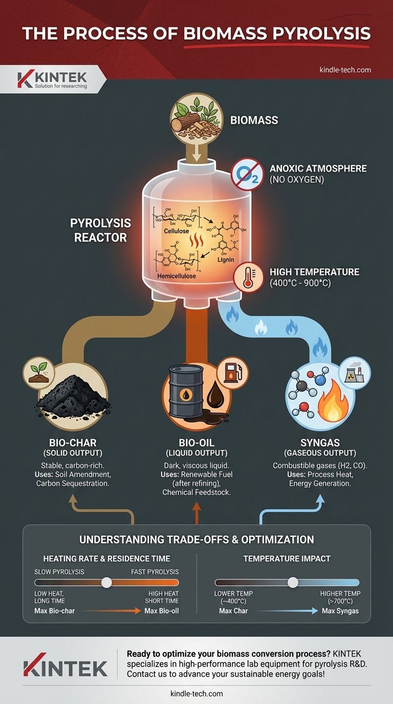 Qual è il processo di pirolisi della biomassa? Convertire la biomassa in bio-char, bio-olio e syngas Guida Visiva