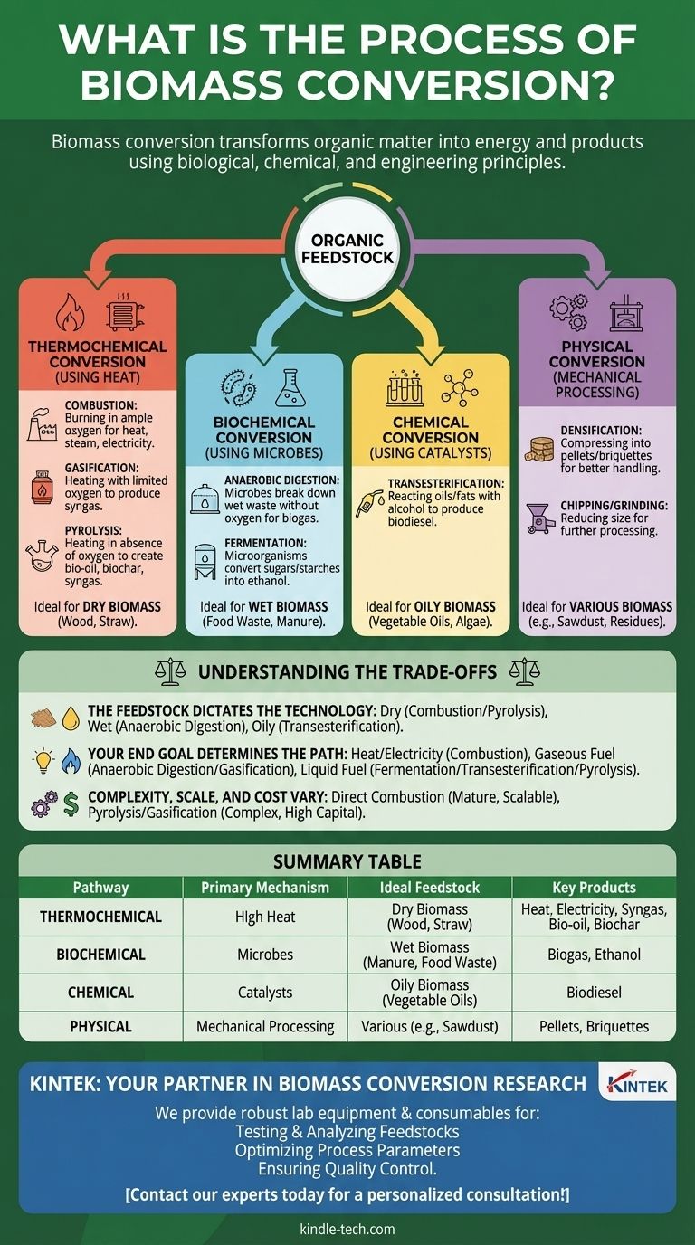 生物质转化过程是什么？利用正确的技术从有机废弃物中释放能量 图解指南