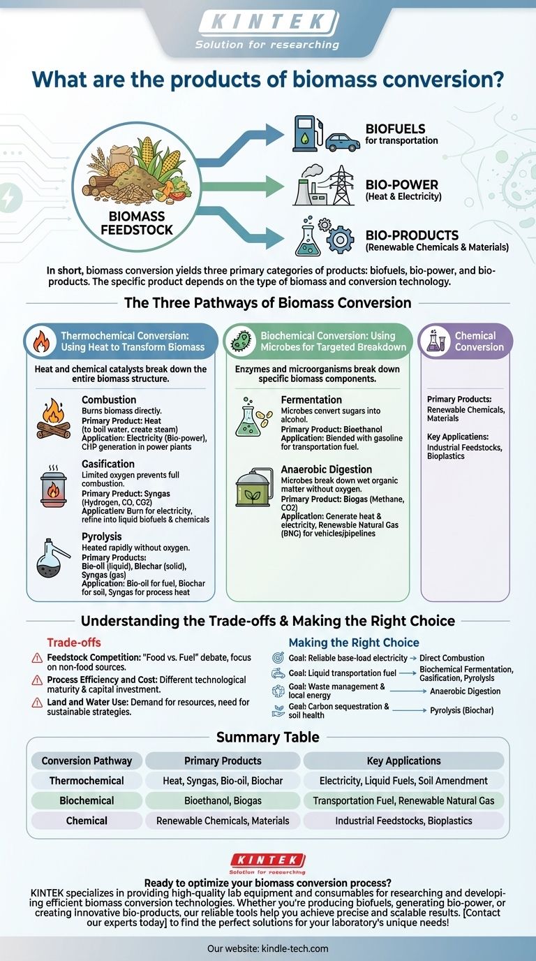What are the products of biomass conversion? Unlock Biofuels, Power, and Renewable Materials Visual Guide