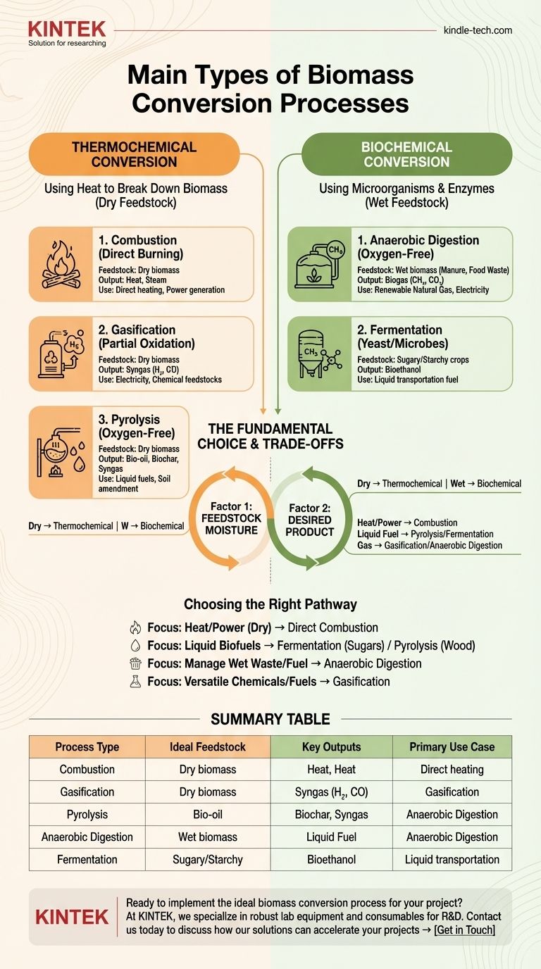 ما هي الأنواع الرئيسية لعمليات تحويل الكتلة الحيوية؟ اكتشف المسار الأفضل لاحتياجاتك من الطاقة دليل مرئي