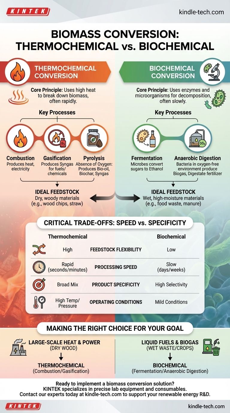 Quels sont les deux types de conversion de la biomasse ? Exploiter la chaleur ou la biologie pour l'énergie renouvelable Guide Visuel