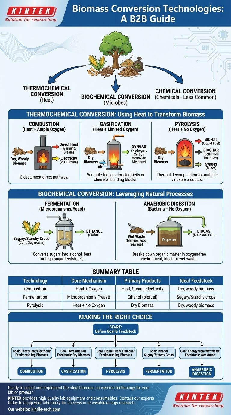 ما هي الأنواع المختلفة لتقنيات تحويل الكتلة الحيوية؟ اختر المسار الصحيح لاحتياجاتك من الطاقة دليل مرئي