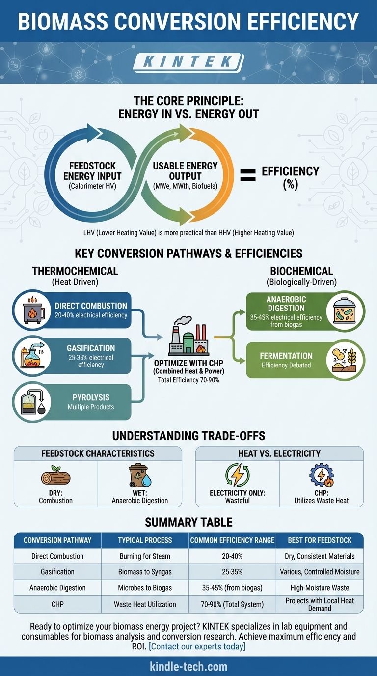 ما هي كفاءة تحويل الكتلة الحيوية؟ قم بزيادة إنتاج الطاقة الحيوية وعائد الاستثمار إلى أقصى حد دليل مرئي